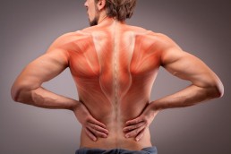 back highlighted in red where pain is located