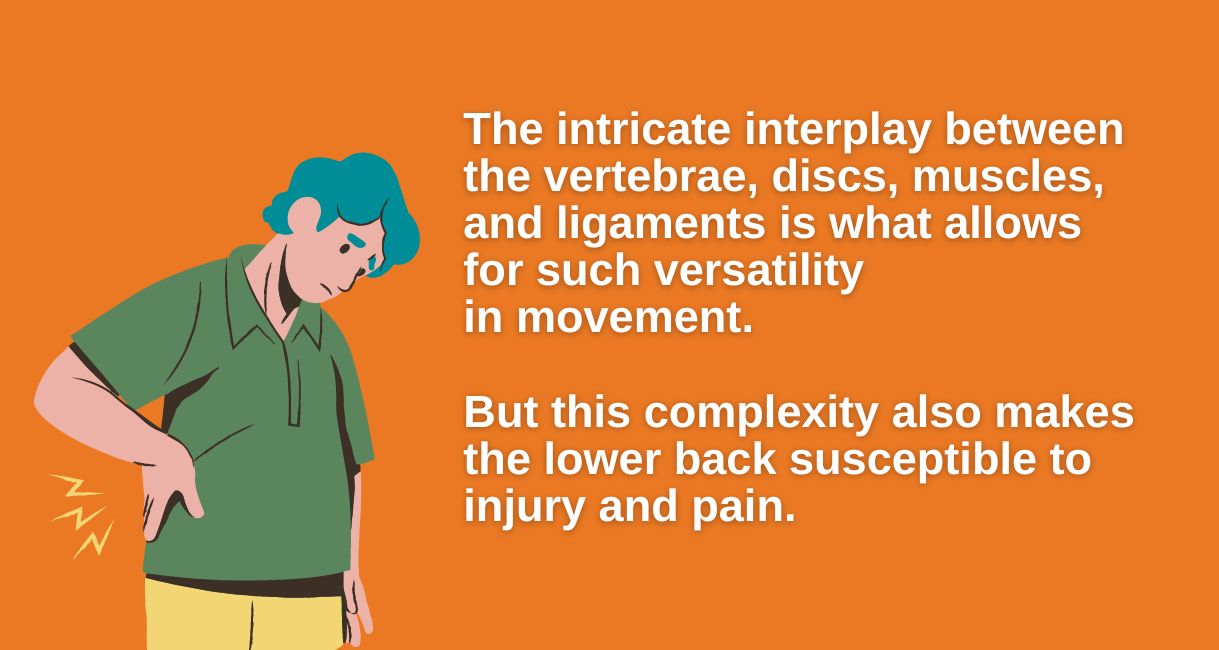 spine interplay